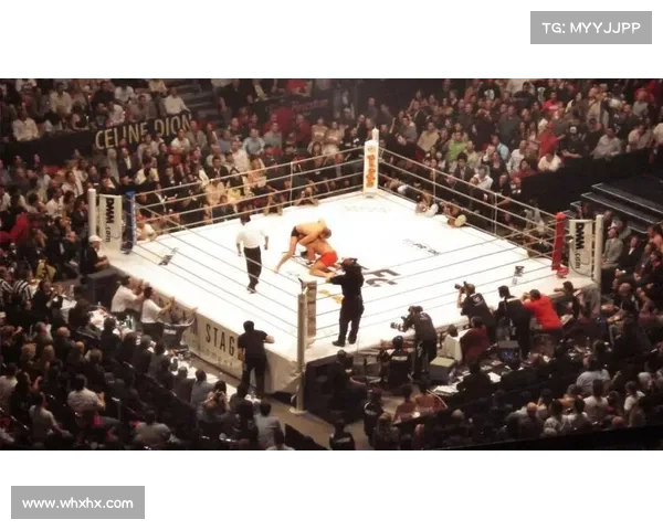 mma赛事 tfc(MMA赛事观看) mma赛事 tfc(MMA赛事观看)