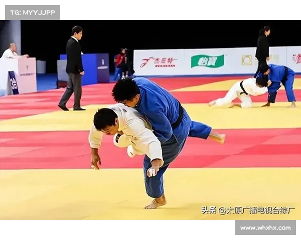 2018全国柔道赛事_2019全国柔道比赛