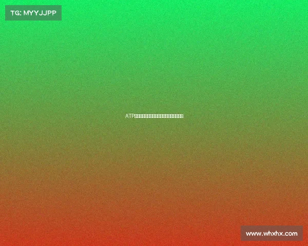 ATP年终总决赛激战正酣新星崛起挑战传统霸权