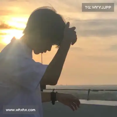 陆冶书